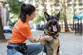 Volunteer with dog